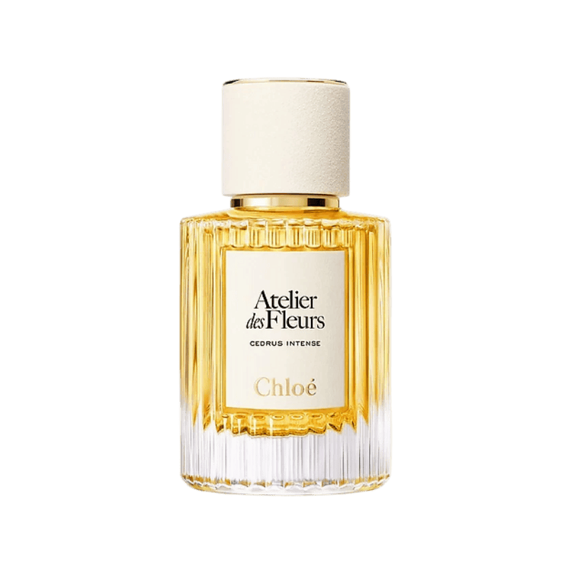 CHLOÉ CEDRUS INTENSE